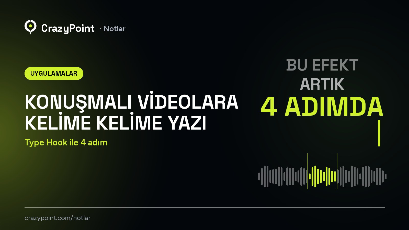 Konuşmalı videolara kelime kelime yazı: Type Hook ile 4 adım